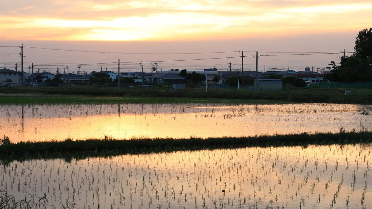 北名古屋市でリースバック相談を考える地域風景